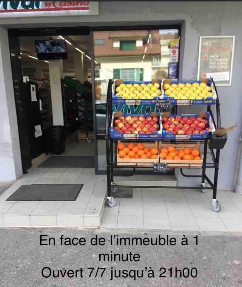 Apartamento Mont Royal Balcon Et Piscine Annecy Exterior foto
